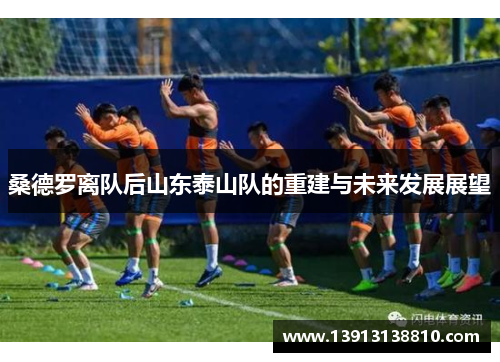 桑德罗离队后山东泰山队的重建与未来发展展望