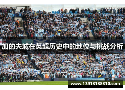 加的夫城在英超历史中的地位与挑战分析