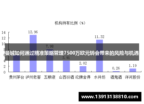 曼城如何通过精准策略管理7500万欧元转会带来的风险与机遇 曼城如何通过精准策略管理7500万欧元转会带来的风险与机遇